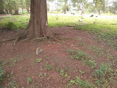 Photos of TPU Kp. Dukuh