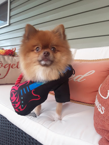 Steve & Leslie's Grooming - United States