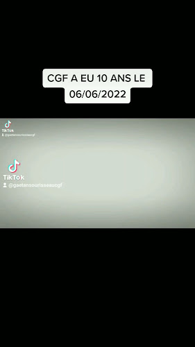 Charente Guêpes Frelons tous nuisibles - Niort