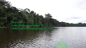 office Yacumama Tambopata Ecolodge 6