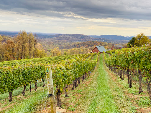 Chester Gap Cellars - Thumbnail