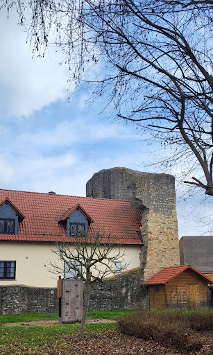 Geschichtsverein Gau-Odernheim - Thumbnail