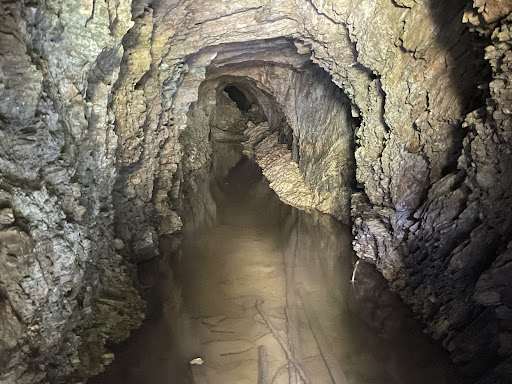 Fledermausstollen - Visual