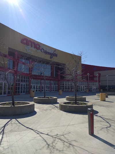 Photos of AMC BarryWoods 24