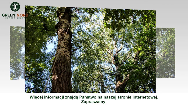 GREEN NORD | wycinka i pięlegnacja drzew, inwentaryzacje zieleni