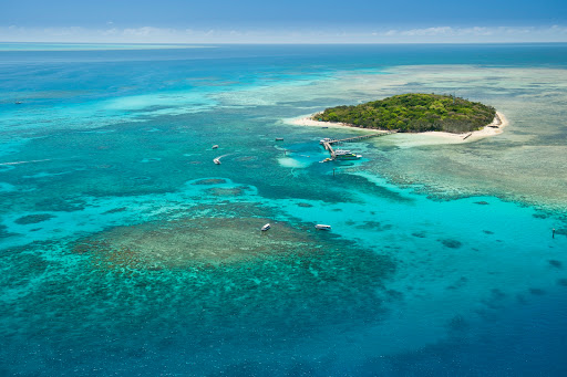 Big Cat Green Island Reef Cruises - Thumbnail