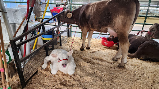Clay County Fair Association - Thumbnail