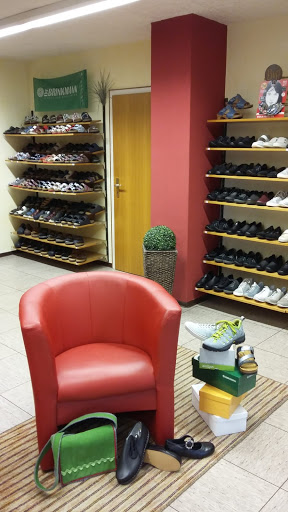 Schuh-Steiner - Visual