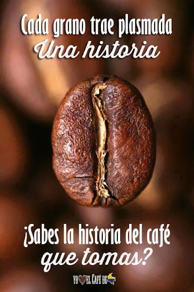 Photos of Caf&eacute; Casa Roble &laquo;El Caf&eacute; de Nuestra Tierra&raquo;