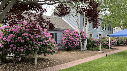 MOCEAN Cape Cod - Visual