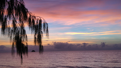 Palm Cove Beach Apartments - Thumbnail