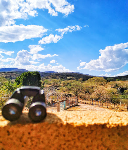 TEPOXMATLA - Thumbnail