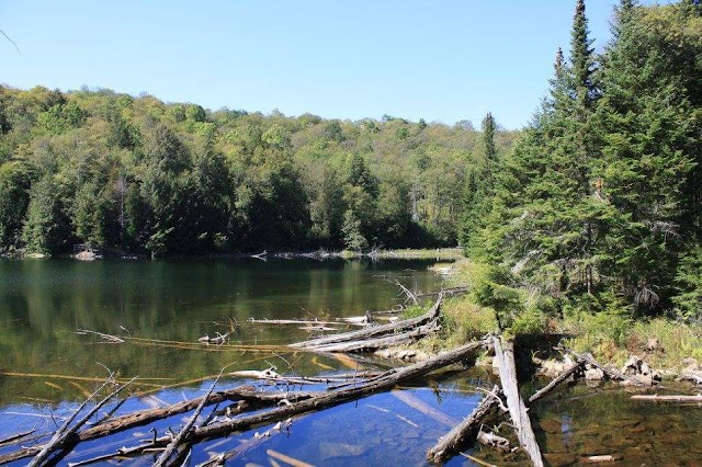 La Forêt La Blanche Ecological Reserve