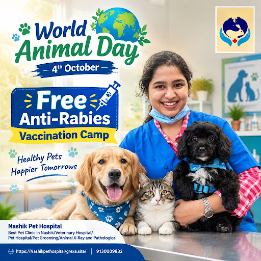 World Animal Day Wellness Camp (Duplicate v2) post image