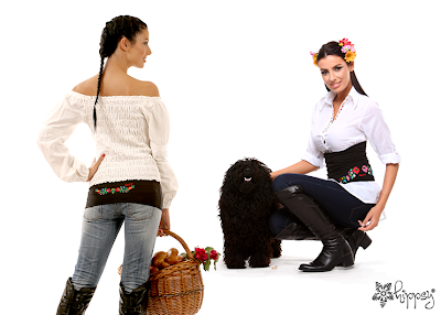 Photos of HIPPSY&reg; Hungary