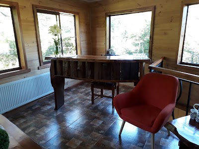 Photos of Restaurante y Caba&ntilde;as Wenu Mapu