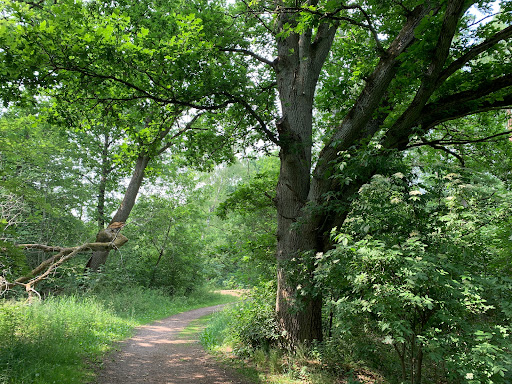 Åhusfältet - Visual