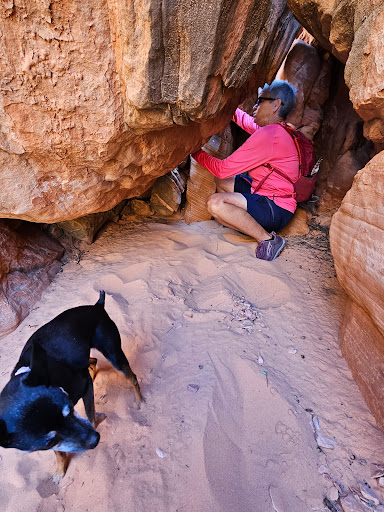 Sand Cove Trailhead - Thumbnail