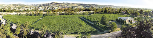 Tenuta Vandelli - Thumbnail