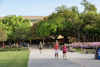 LSU Libraries