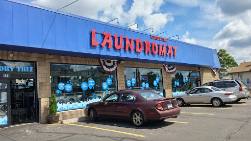 LAUNDRY TREE - Visual