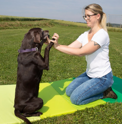 Tierphysiotherapie & Tierosteopathie Animal in Motion by Anna Appel