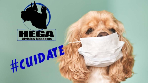 Hospital Veterinario HEGA