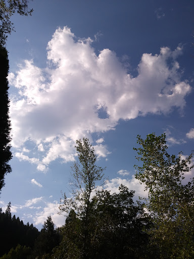 Gansner Bar Campground - Thumbnail
