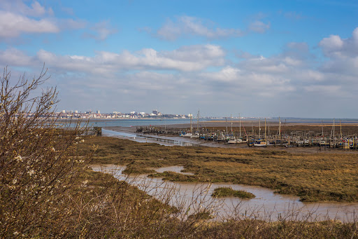 Canvey Heights Country Park