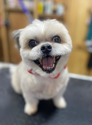 The Grooming Lounge - Waupaca - Thumbnail