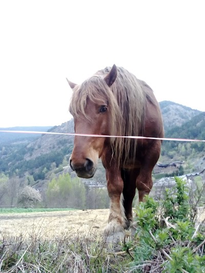 Photos of Santa B&agrave;rbara d'Ordino