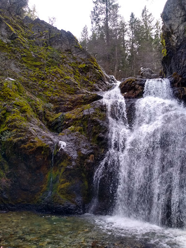 Shasta Vortex Adventures Gallery - United States