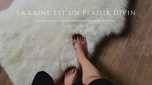 Photo n°37 de MAISON BRISSAY-CHÂTRE - CARDELAINE 1838 à Saint-Just-en-Chevalet (Tapissier décorateur)