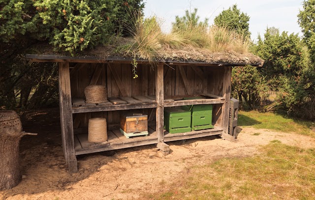 Heidenhäuschen Westruper Heide