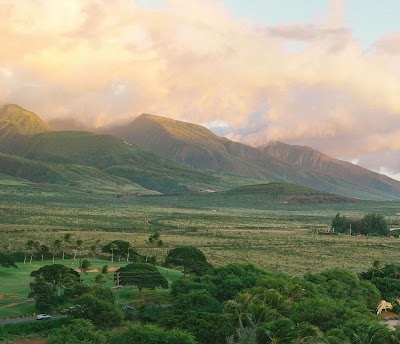 Hyatt Regency Maui Resort And Spa