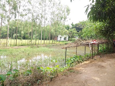 Photos of Rajnagar Bondhupara Jame Mosjid