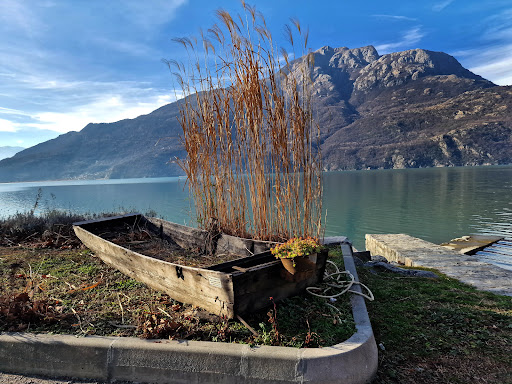 Verceia - Visual