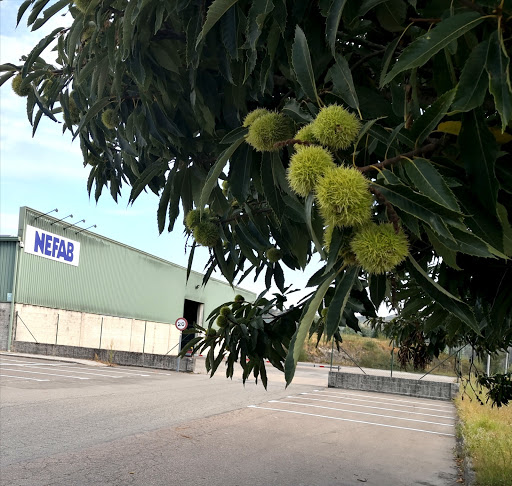 Nefab Pontevedra, S.L.