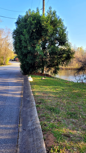 Riverdale pond - Thumbnail