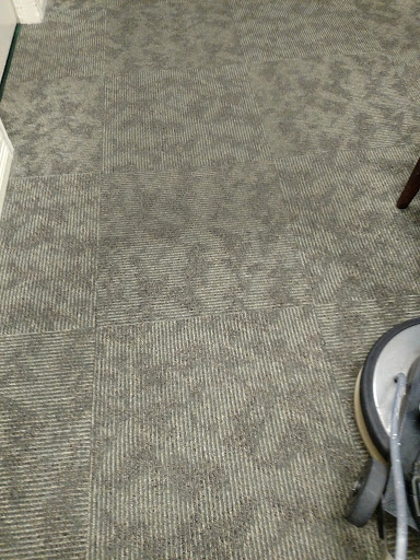 Perfectly Clean - Visual