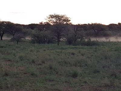 Photos of Sandveld Hunting Lodge