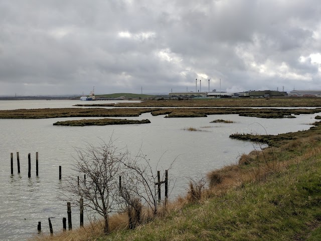 Elmley National Nature Reserve