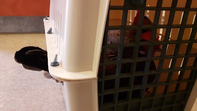Photos of Dierenkliniek Zoetermeer Seghwaert