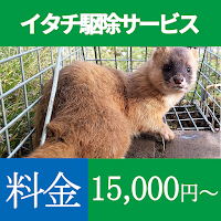 ホームレスキュー株式会社 九州支店