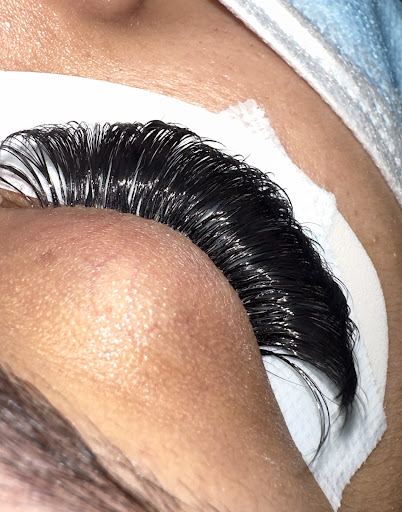 The Lash Obsession Gallery - United States