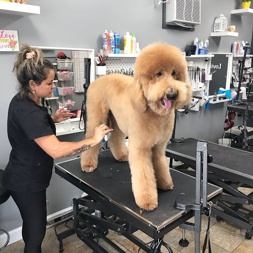Loving Care Pet Grooming