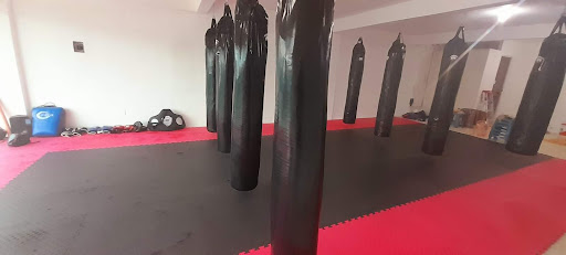 Zen Martial Arts Acapulco