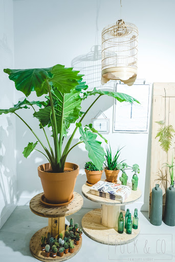 Puck & Co Conceptstore - Thumbnail