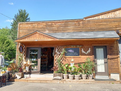 Maison Forêt - Visual
