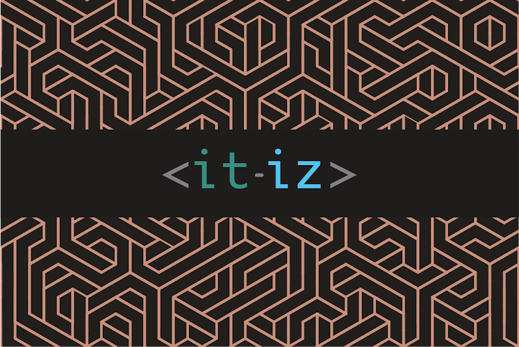 Web & Design Agentur IT-IZ